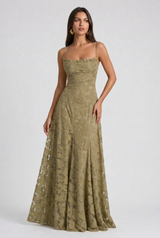 Salvia